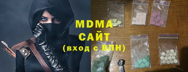 гашик Алексин